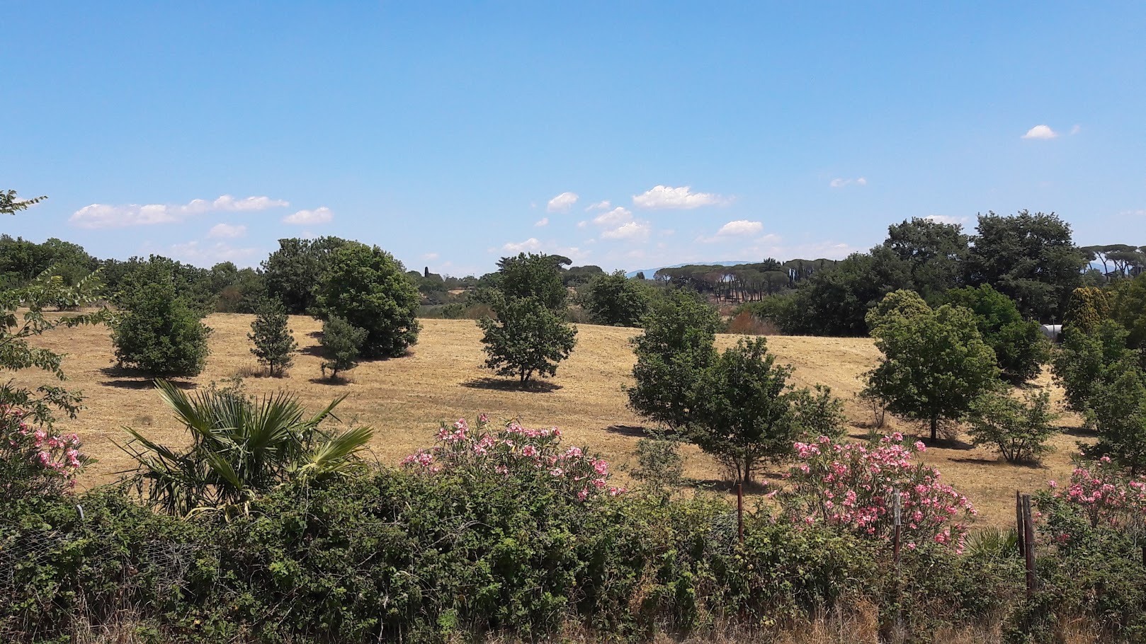 Agriturismo Montecaminetto — photo 3